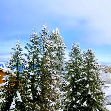 Pispalan Helmi - Koti Naekoealalla