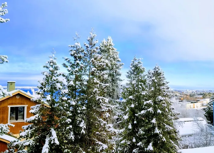 Pispalan Helmi - Koti Naekoealalla